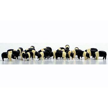 Figures - Hampshire pigs (Pkg of 25) - 1/64